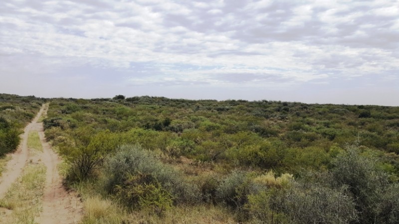 Estancia, campo ganadero de cria, 94.149 has. En Mendoza, con importantes mejoras, con o sin hacienda.