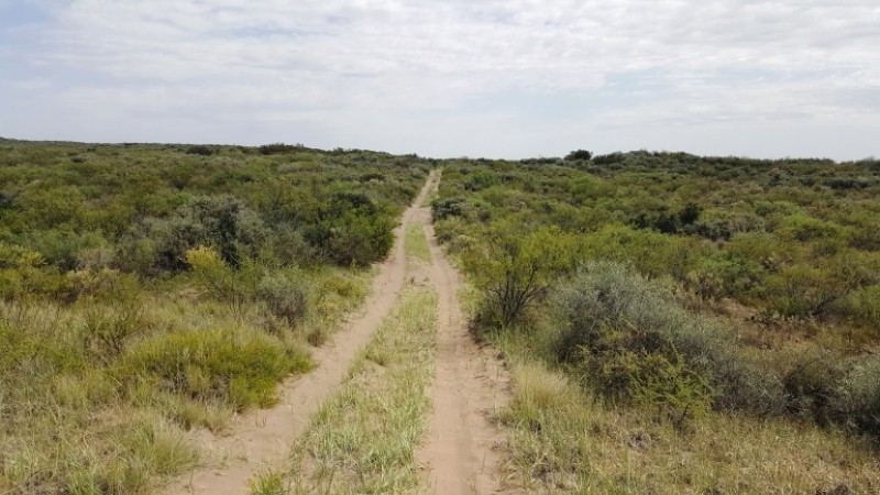 Estancia, campo ganadero de cria, 94.149 has. En Mendoza, con importantes mejoras, con o sin hacienda.