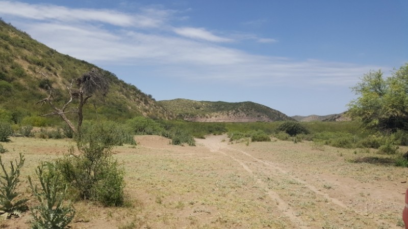 Estancia, campo ganadero de cria, 94.149 has. En Mendoza, con importantes mejoras, con o sin hacienda.