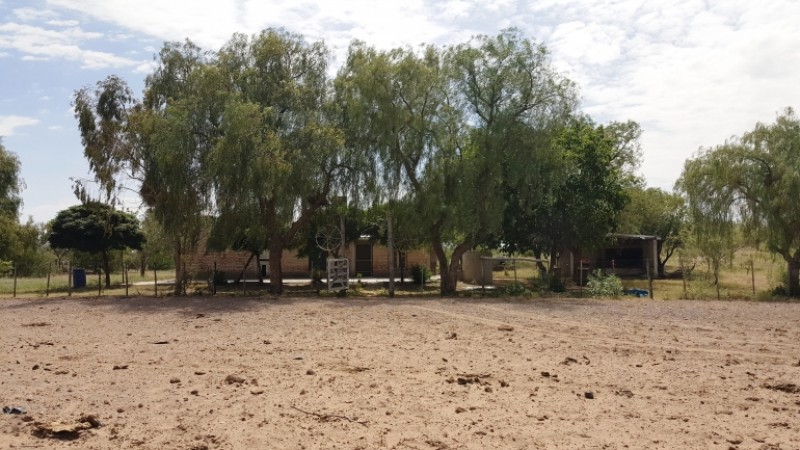 Estancia, campo ganadero de cria, 94.149 has. En Mendoza, con importantes mejoras, con o sin hacienda.