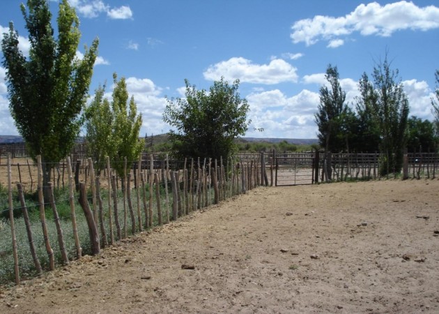 Estancia, campo ganadero de cria, 94.149 has. En Mendoza, con importantes mejoras, con o sin hacienda.