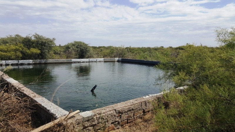Estancia, campo ganadero de cria, 94.149 has. En Mendoza, con importantes mejoras, con o sin hacienda.