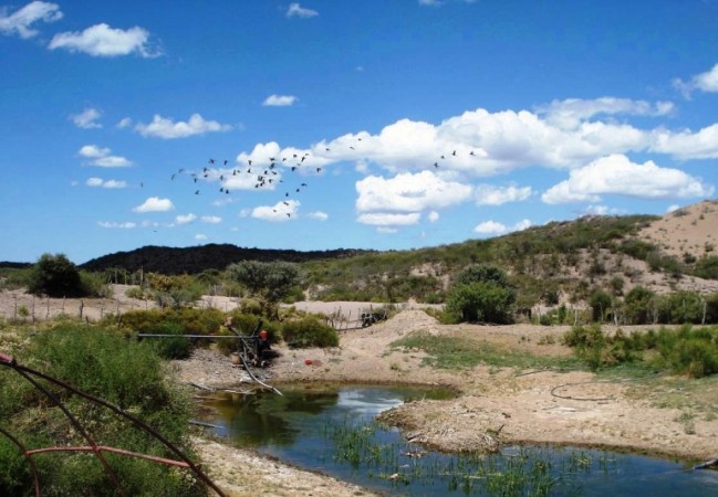 Estancia, campo ganadero de cria, 94.149 has. En Mendoza, con importantes mejoras, con o sin hacienda.