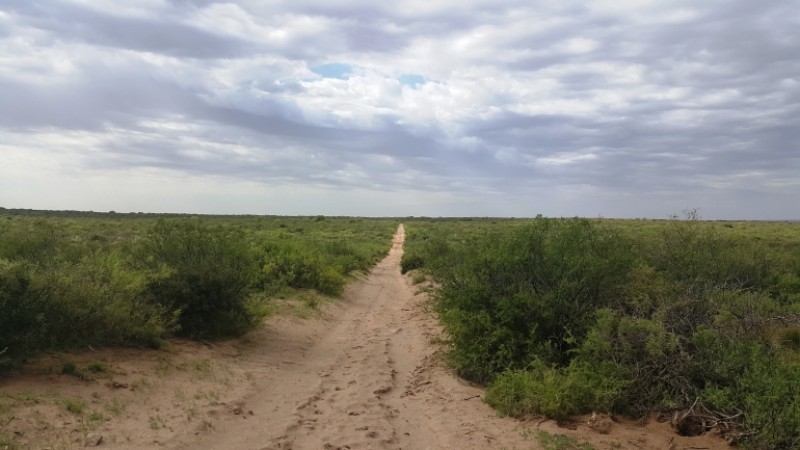Estancia, campo ganadero de cria, 94.149 has. En Mendoza, con importantes mejoras, con o sin hacienda.