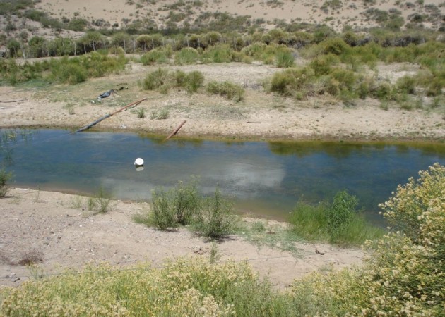 Estancia, campo ganadero de cria, 94.149 has. En Mendoza, con importantes mejoras, con o sin hacienda.