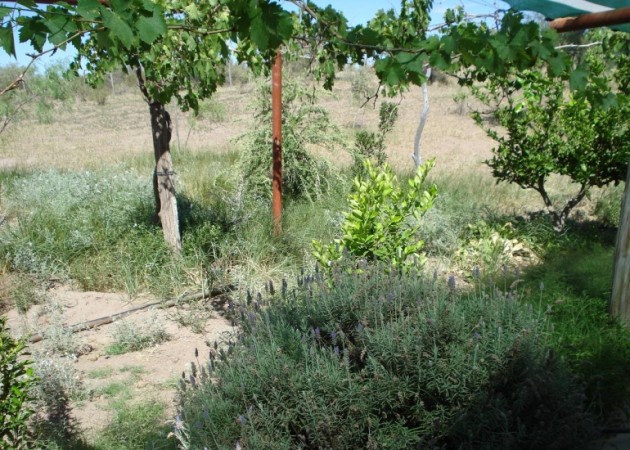 Estancia, campo ganadero de cria, 94.149 has. En Mendoza, con importantes mejoras, con o sin hacienda.