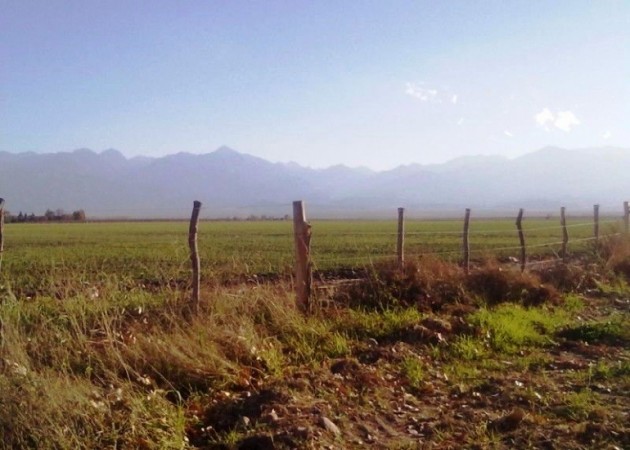 Finca de 41 has. a 2000 mts. del Corredor Productivo, en Tunuyan, Valle de Uco. con pozo y riego por goteo.