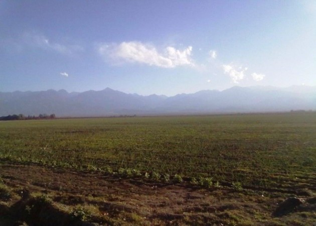 Finca de 41 has. a 2000 mts. del Corredor Productivo, en Tunuyan, Valle de Uco. con pozo y riego por goteo.