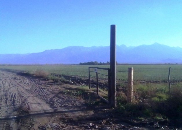 Finca de 41 has. a 2000 mts. del Corredor Productivo, en Tunuyan, Valle de Uco. con pozo y riego por goteo.