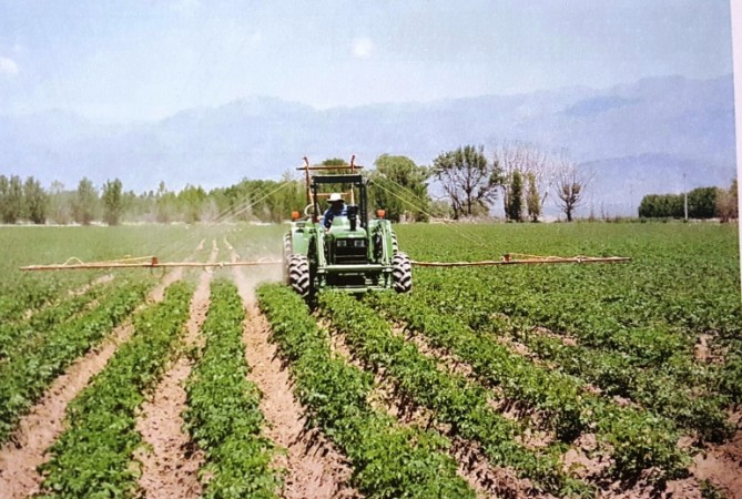 Finca de 40 has. en El Cepillo, San Carlos, Mendoza, con pozo y tres casas.