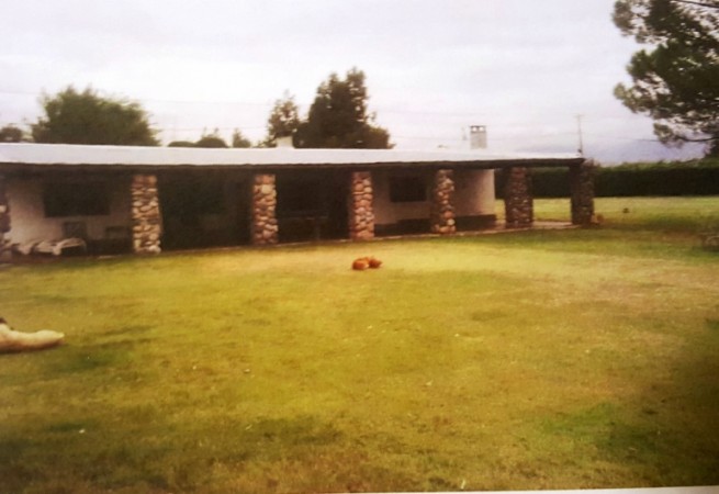 Finca de 40 has. en El Cepillo, San Carlos, Mendoza, con pozo y tres casas.