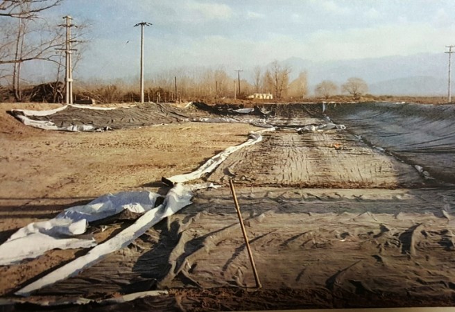 Finca de 40 has. en El Cepillo, San Carlos, Mendoza, con pozo y tres casas.