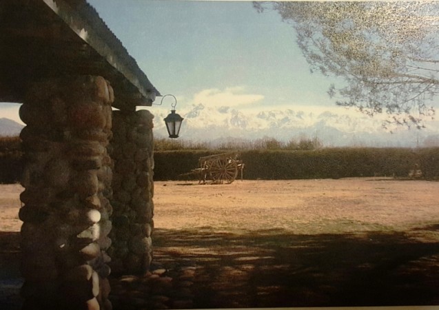 Finca de 40 has. en El Cepillo, San Carlos, Mendoza, con pozo y tres casas.