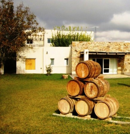 Finca de 50 has. de varietales, con Bodega moderna 70.000 lts. en producción, Tupungato, Mendoza. 