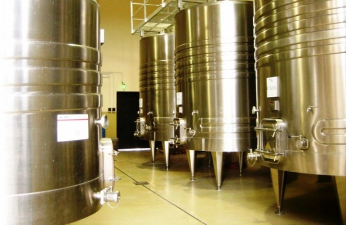 Finca de 50 has. de varietales, con Bodega moderna 70.000 lts. en producción, Tupungato, Mendoza. 