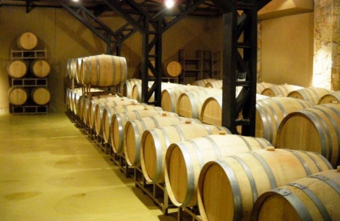 Finca de 50 has. de varietales, con Bodega moderna 70.000 lts. en producción, Tupungato, Mendoza. 