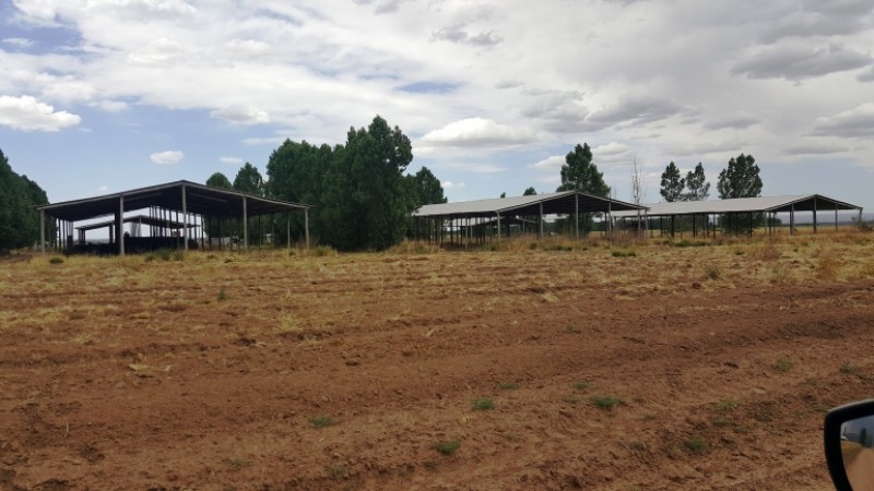 Excelente finca de 200 has. con tres pozos y 51 has de viñedos, riego por goteo y 2 pivot.