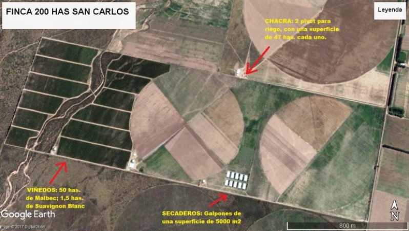 Excelente finca de 200 has. con tres pozos y 51 has de viñedos, riego por goteo y 2 pivot.