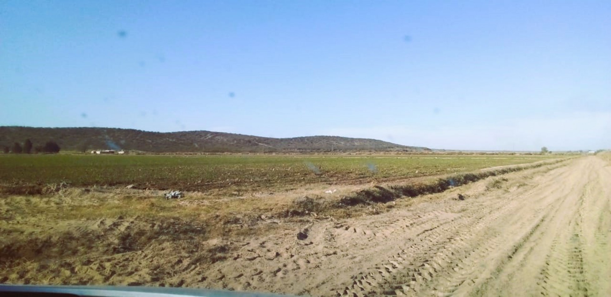 Finca de 60 hectareas con Viña en Tres Esquinas, Valle de Uco, Mendoza.