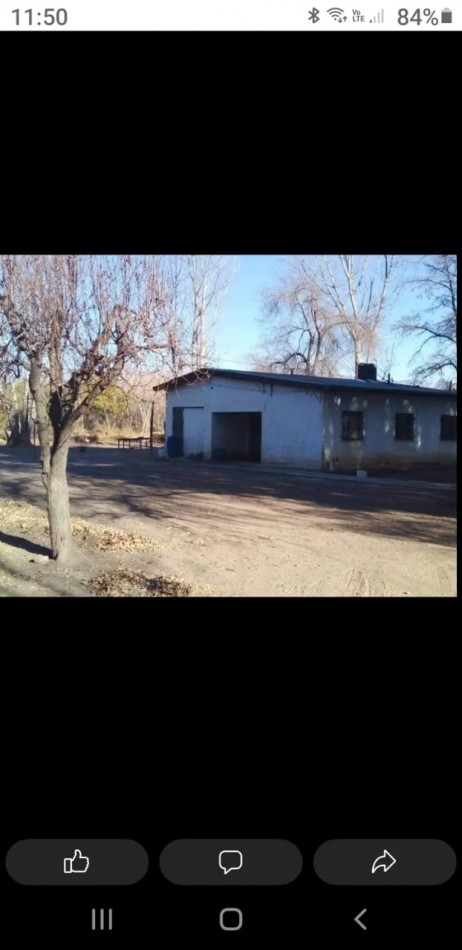 Finca de 60 hectareas con Viña en Tres Esquinas, Valle de Uco, Mendoza.