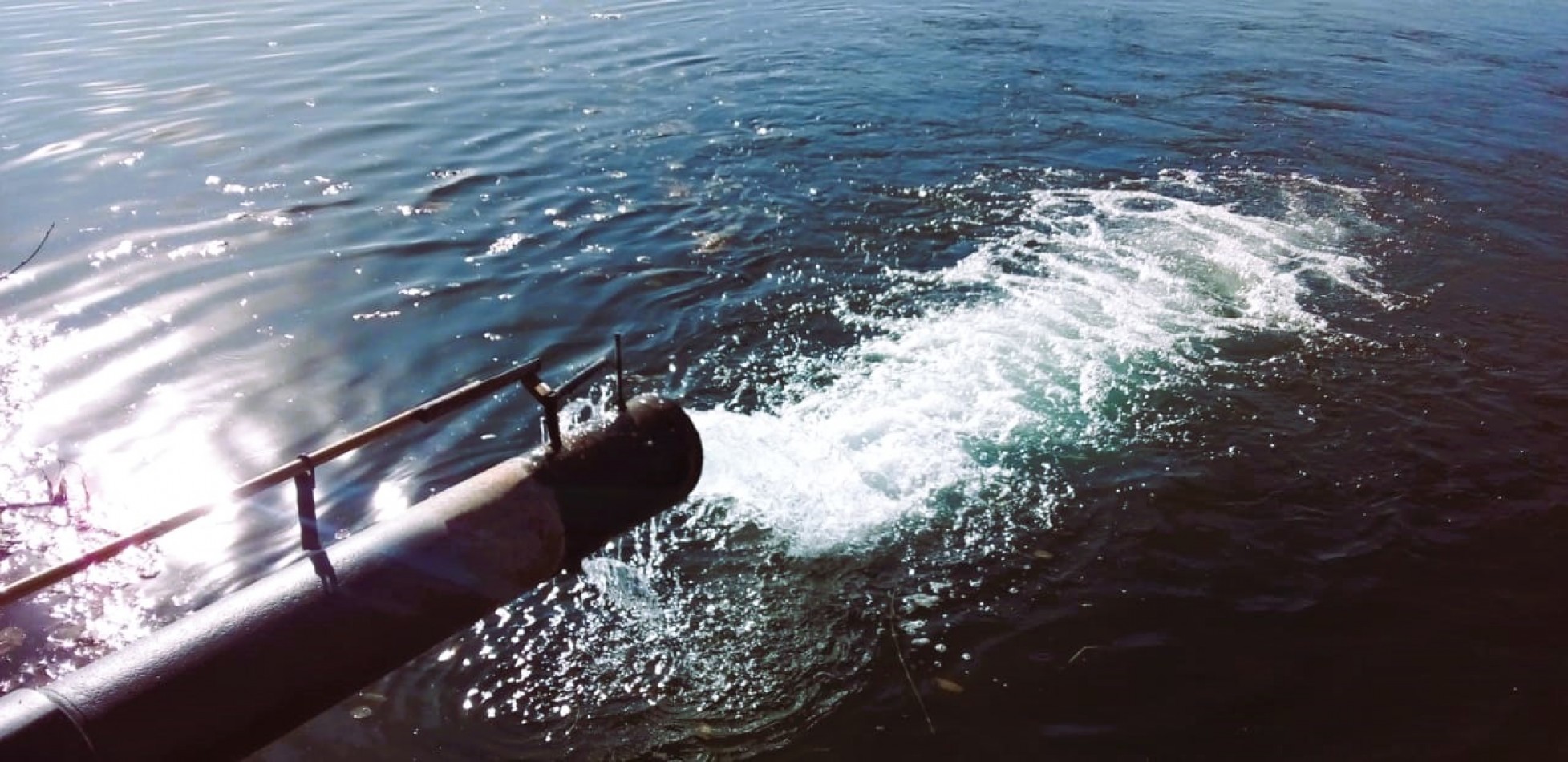 Finca de 60 hectareas con Viña en Tres Esquinas, Valle de Uco, Mendoza.