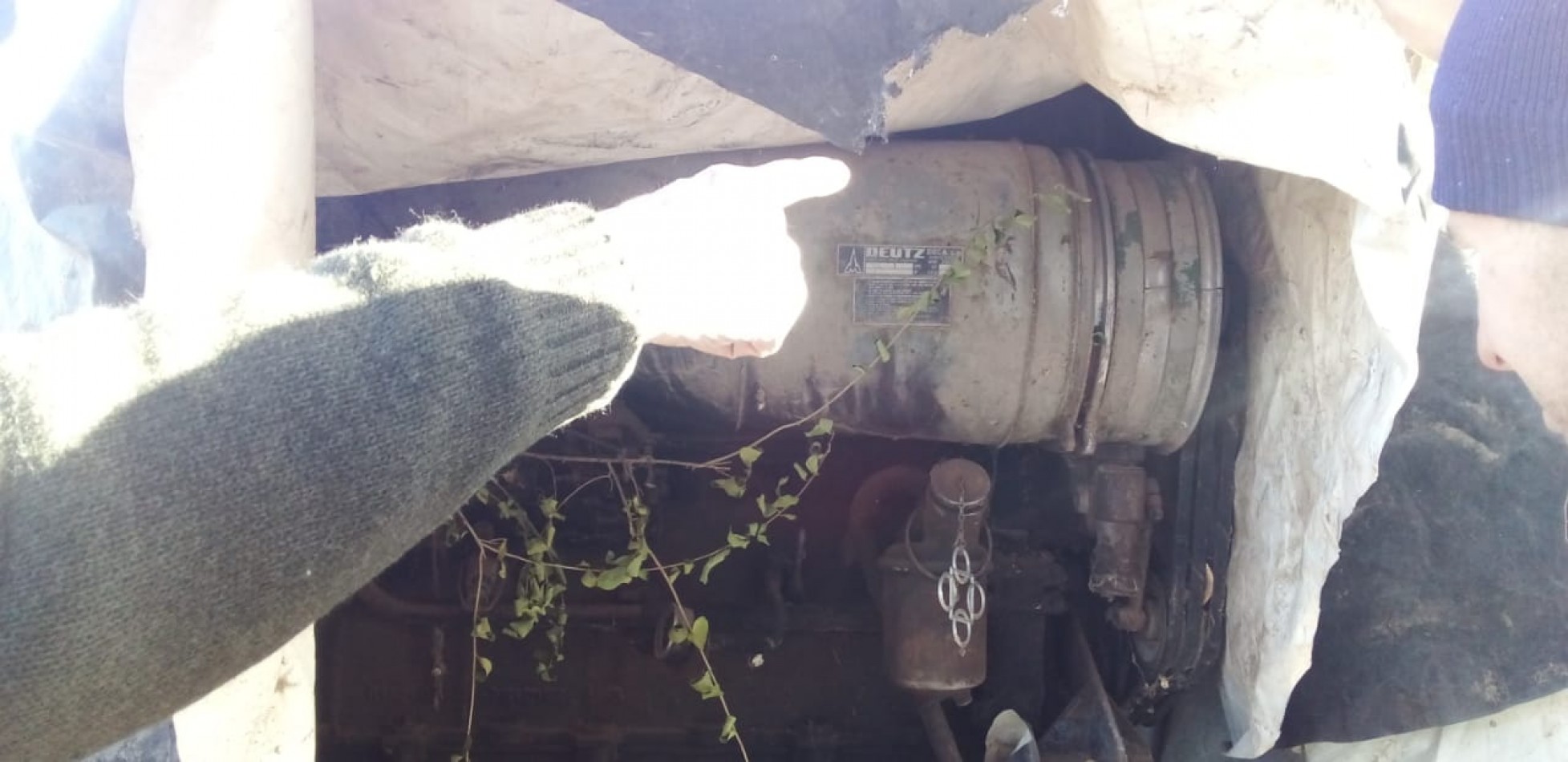 Finca de 60 hectareas con Viña en Tres Esquinas, Valle de Uco, Mendoza.