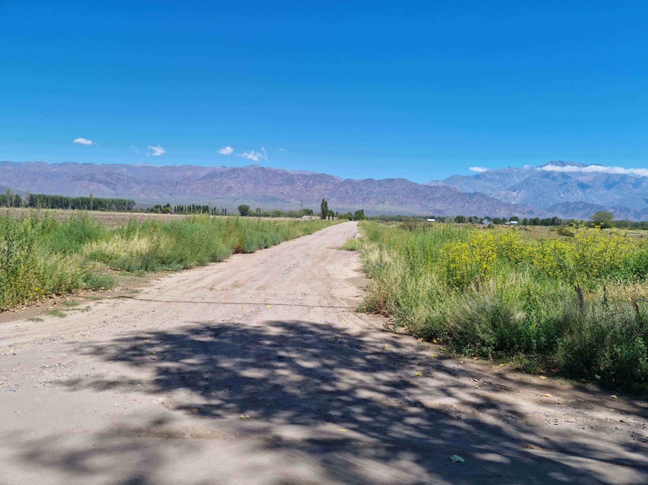 Hermosa finquita de 6 hectareas inculta en el Valle de Uco, Mendoza al pie de la montaña, con derecho de riego.
