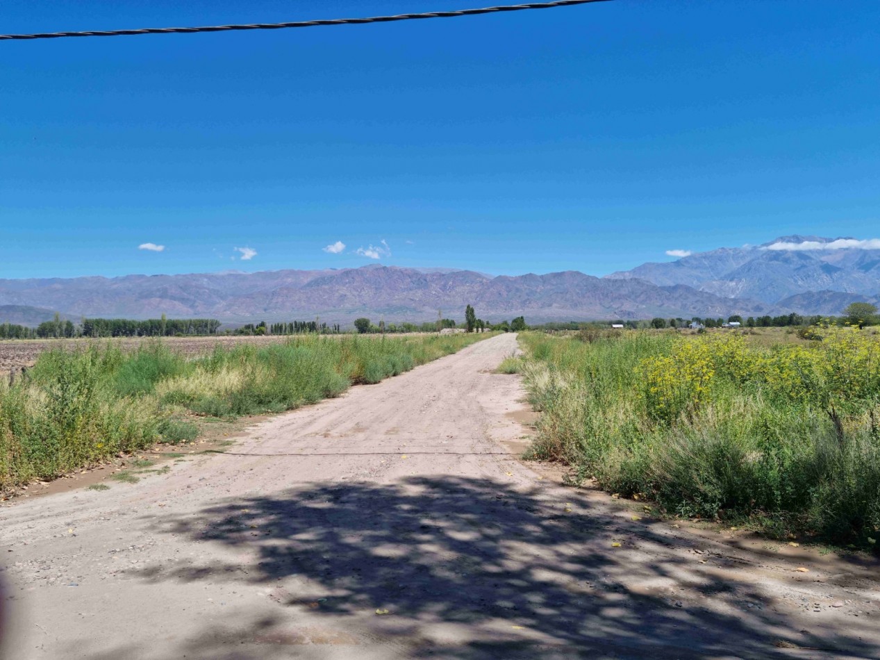 Hermosa finquita de 6 hectareas inculta en el Valle de Uco, Mendoza al pie de la montaña, con derecho de riego.