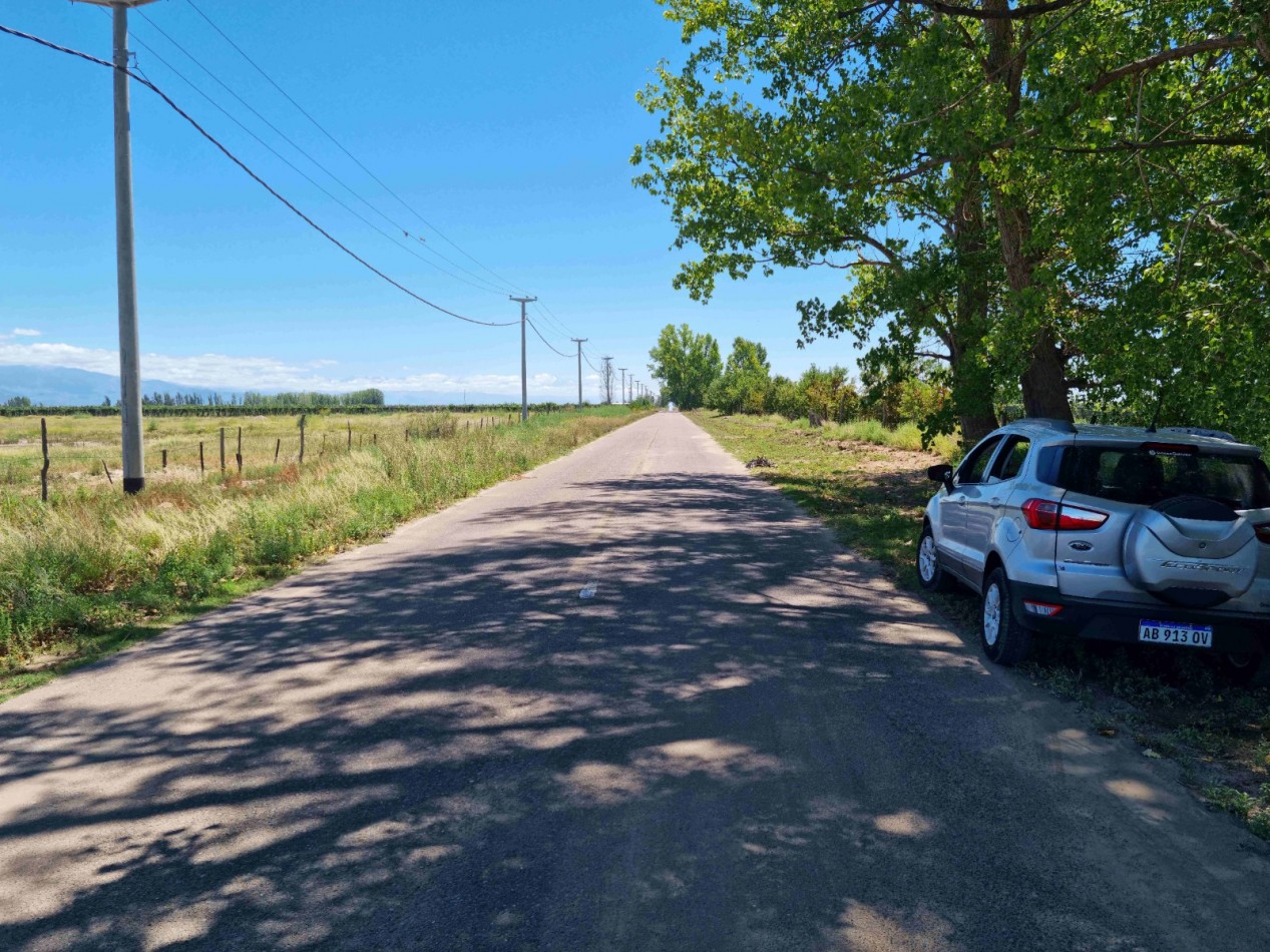 Hermosa finquita de 6 hectareas inculta en el Valle de Uco, Mendoza al pie de la montaña, con derecho de riego.