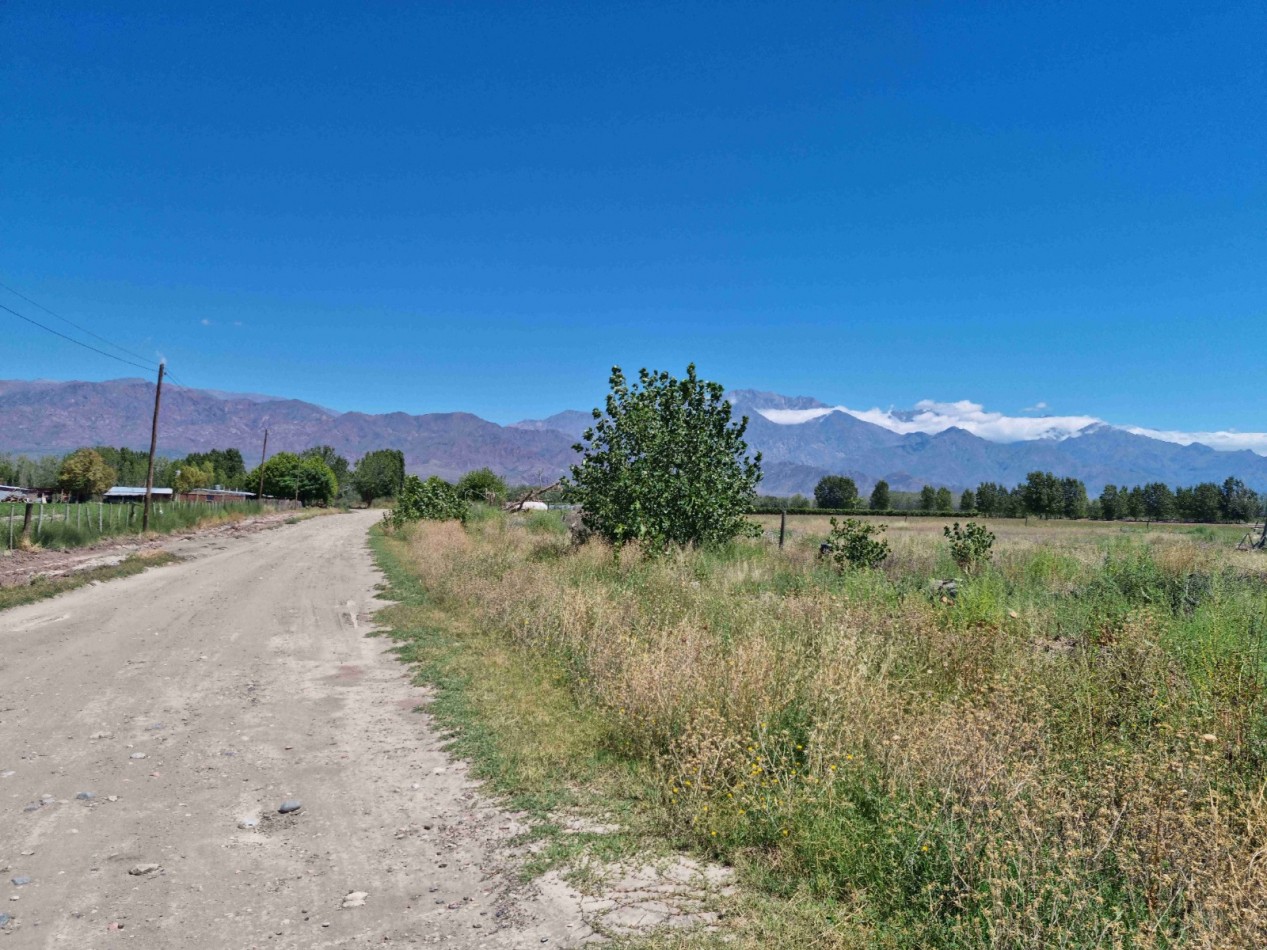 Hermosa finquita de 6 hectareas inculta en el Valle de Uco, Mendoza al pie de la montaña, con derecho de riego.