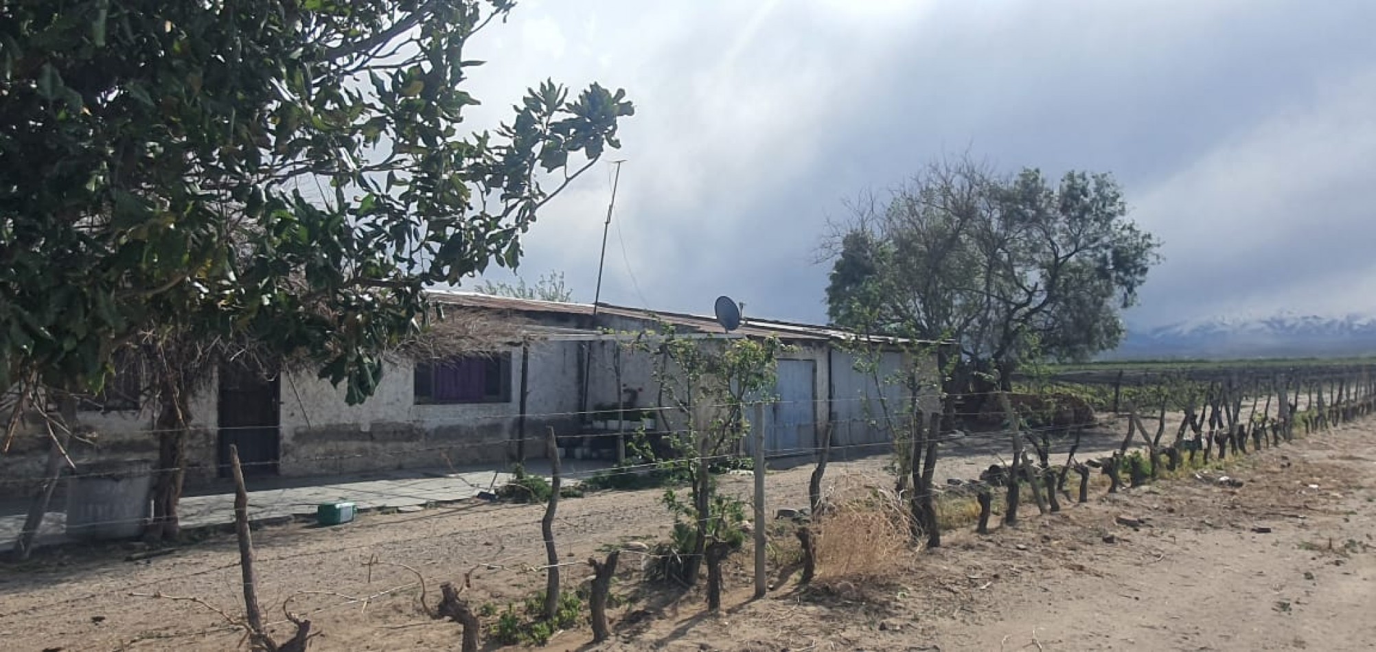Hermosa Finca con viñedos, 10 hectareas en Tupungato, Mendoza.