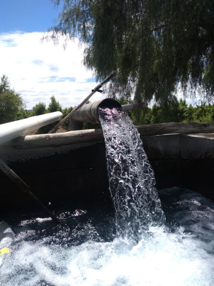 Hermosa Finca con viñedos, 10 hectareas en Tupungato, Mendoza.
