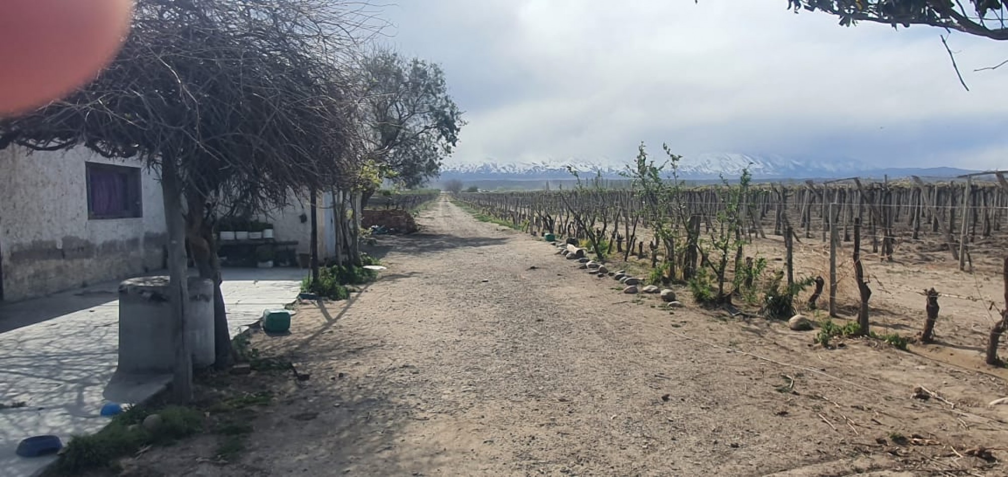 Hermosa Finca con viñedos, 10 hectareas en Tupungato, Mendoza.