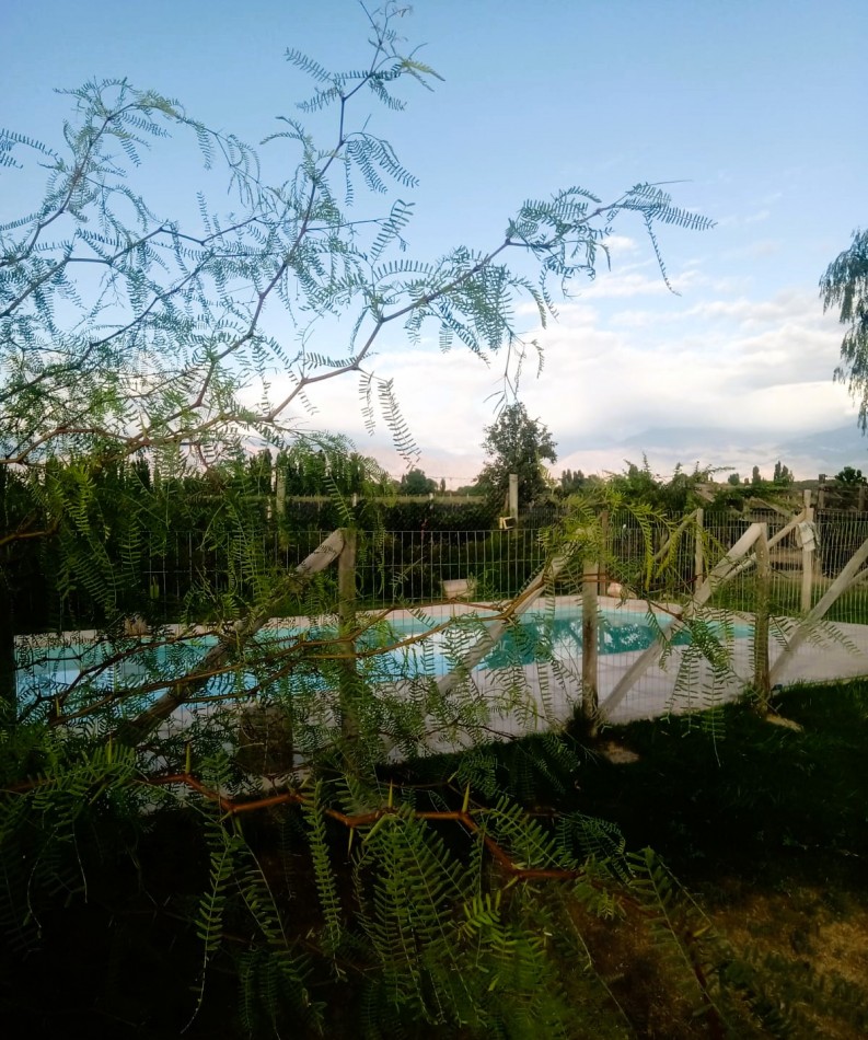 Desarrollo Enoturismo 2 has Malbec con tres cabañas en Valle de Uco, Mendoza.