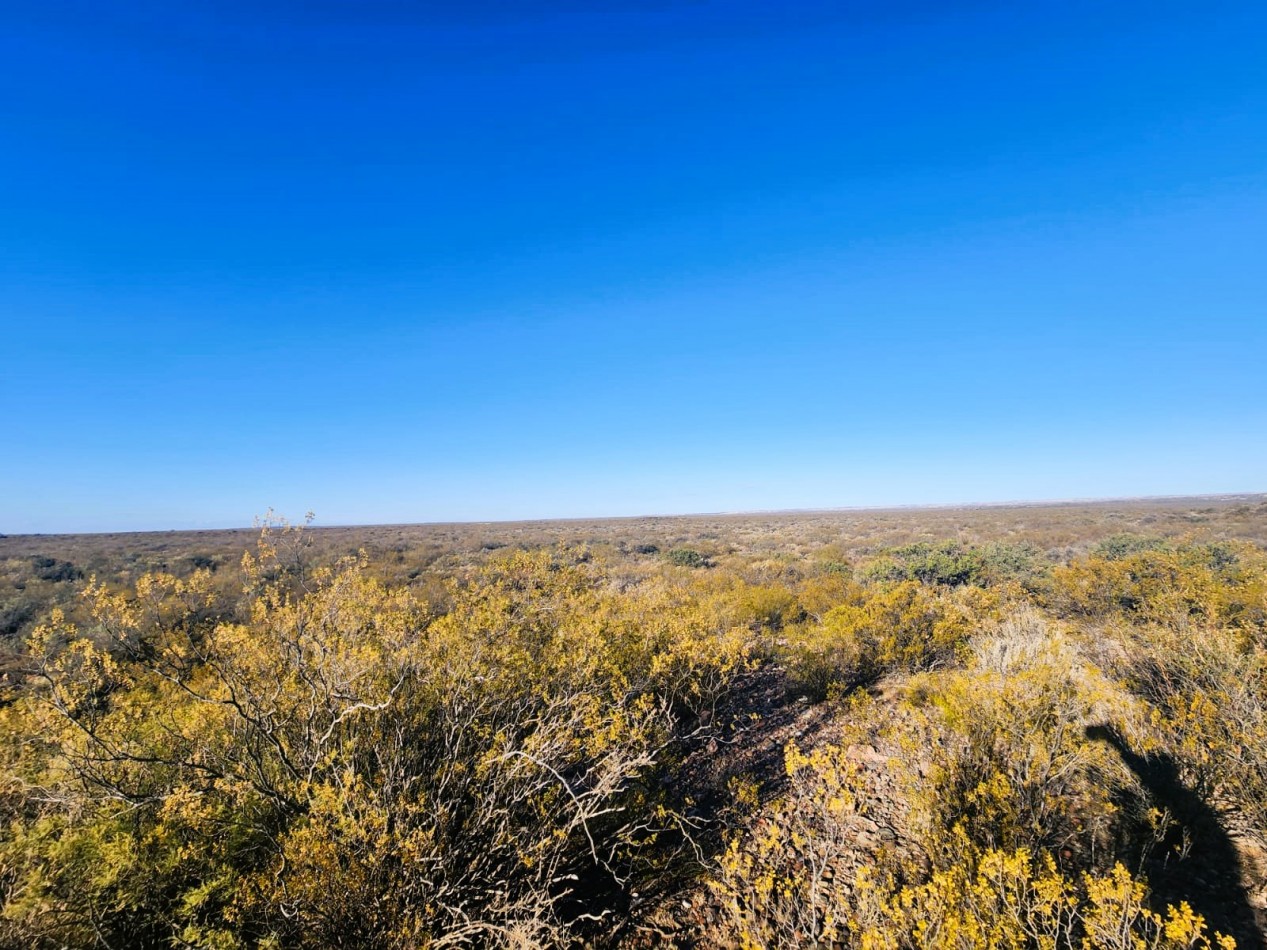 Campo 720 hectareas San Carlos con pozo de agua 12 pulgadas