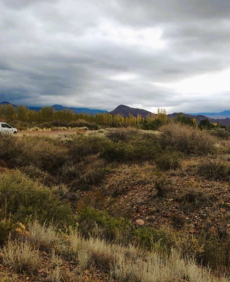 Excelente propiedad de 8 has. con arroyo en Los Chacayes, Valle de Uco, Mendoza.