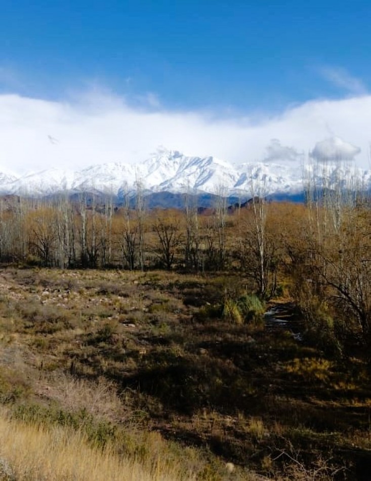 Excelente propiedad de 8 has. con arroyo en Los Chacayes, Valle de Uco, Mendoza.