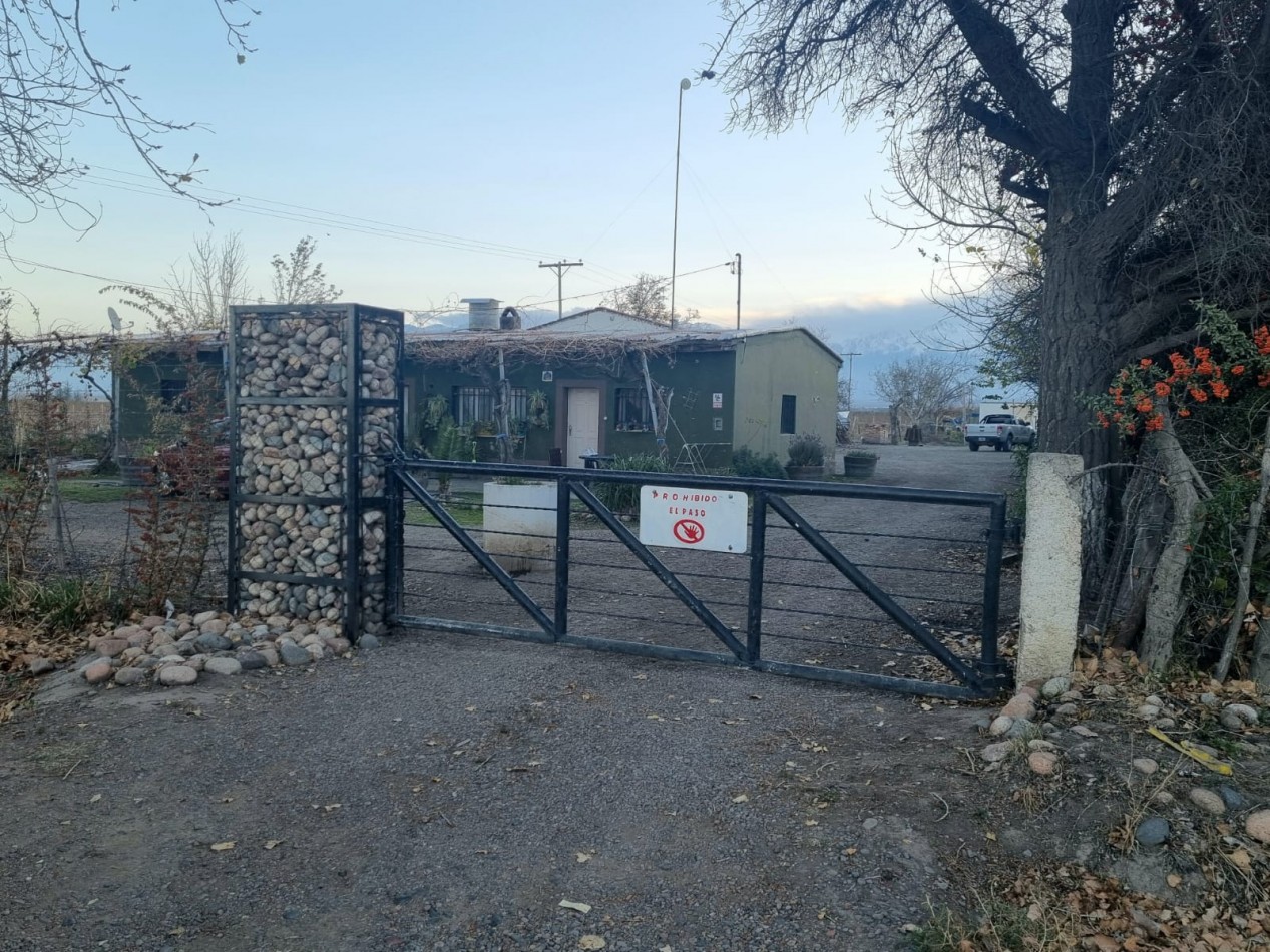 Impresionante finca de 72 has, en Tupungato, duraznos 2 pozos, riego