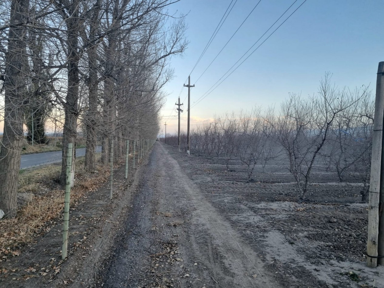 Impresionante finca de 72 has, en Tupungato, duraznos 2 pozos, riego