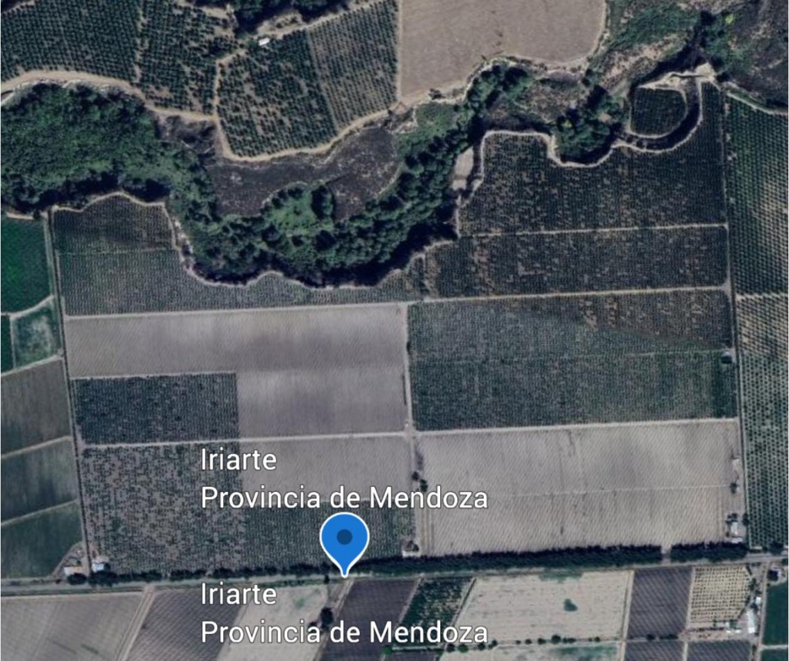 Impresionante finca de 72 has, en Tupungato, duraznos 2 pozos, riego