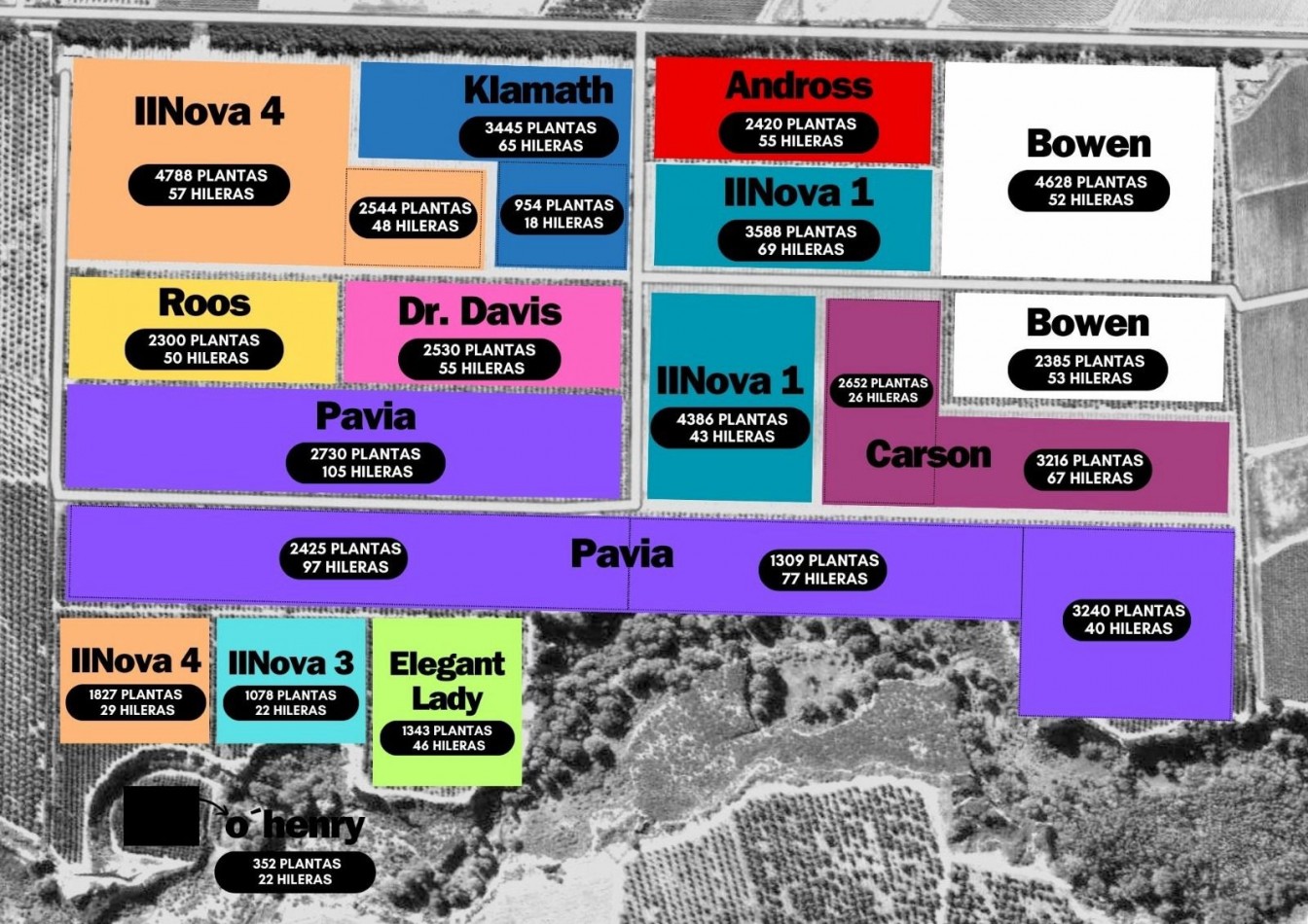 Impresionante finca de 72 has, en Tupungato, duraznos 2 pozos, riego
