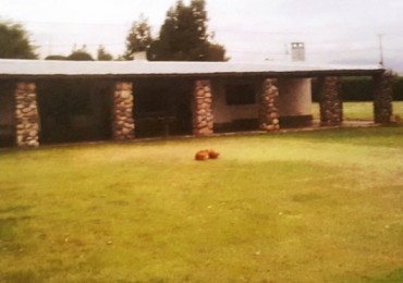 Finca de 40 has. en El Cepillo, San Carlos, Mendoza, con pozo y tres casas.