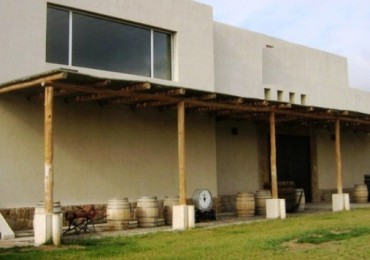 Finca de 50 has. de varietales, con Bodega moderna 70.000 lts. en producción, Tupungato, Mendoza. 