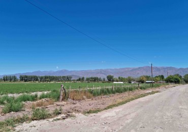 Hermosa finquita de 6 hectareas inculta en el Valle de Uco, Mendoza al pie de la montaña, con derecho de riego.