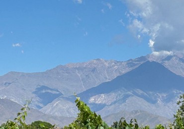 Hermosa Finca con viñedos, 10 hectareas en Tupungato, Mendoza.
