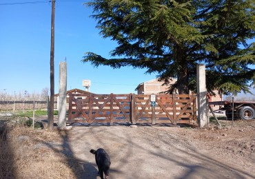 excelente Bodega con viñedos en Vsita Flores, Valle de Uco. Mendoza 