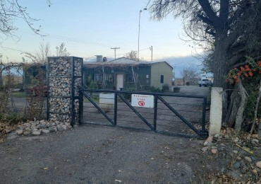 Impresionante finca de 72 has, en Tupungato, duraznos 2 pozos, riego